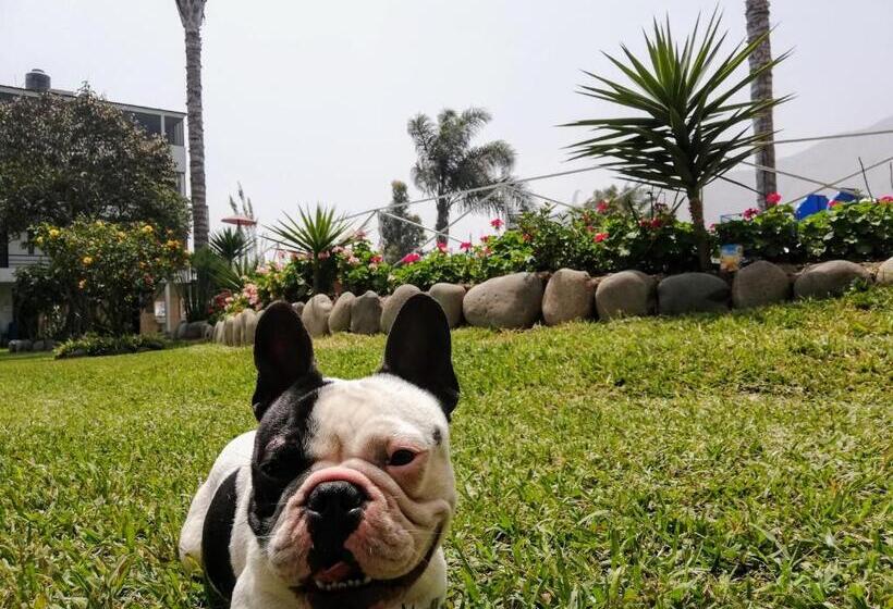 Отель Mi Pequeño Club