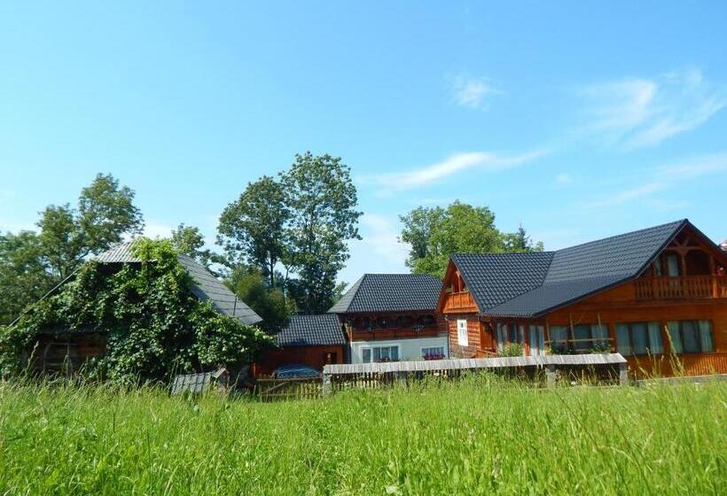 酒店 Pensiunea Lucia