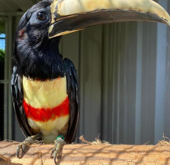 בית מלון כפרי Quinta Do Lordelo Turismo Rural