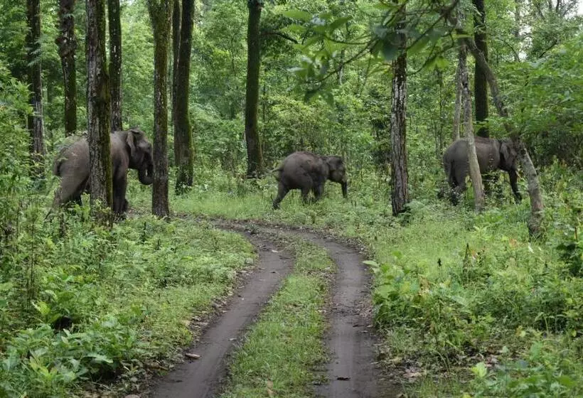 Hotelli Viswamurti Resorts