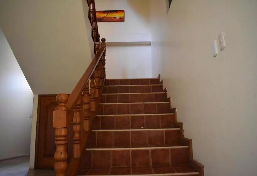 پانسیون Apartments Center Gsv