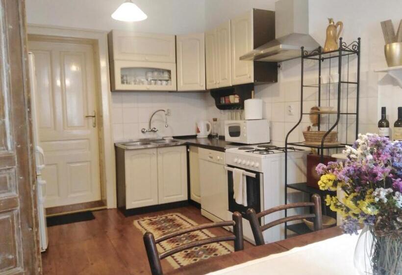 پانسیون šomin Lagum Vila