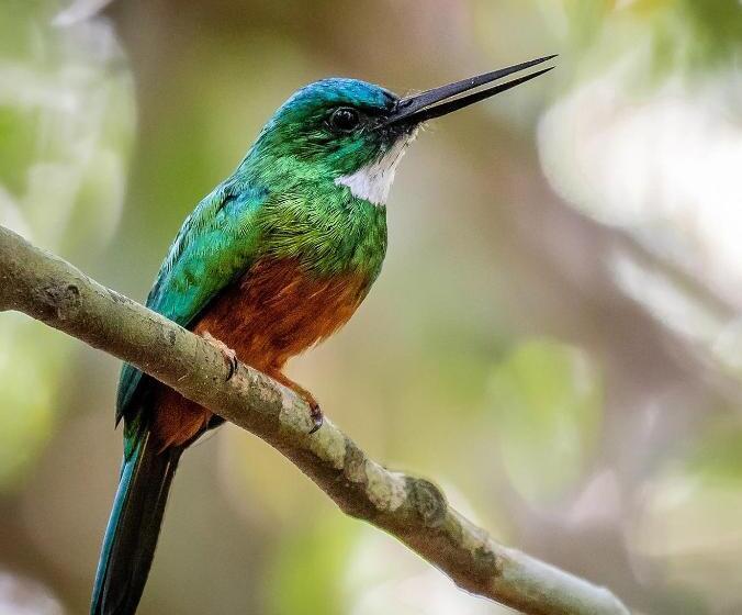 Resort El Cielo Biohospedaje