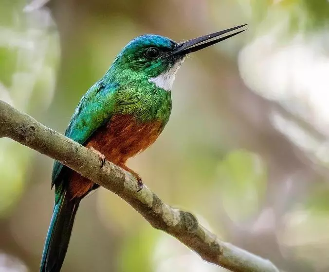 リゾートホテル El Cielo Biohospedaje