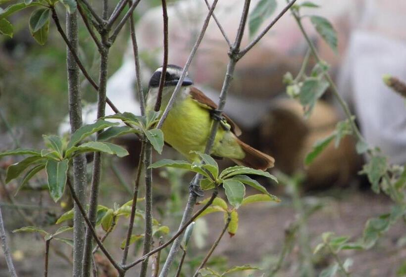 Resort El Cielo Biohospedaje