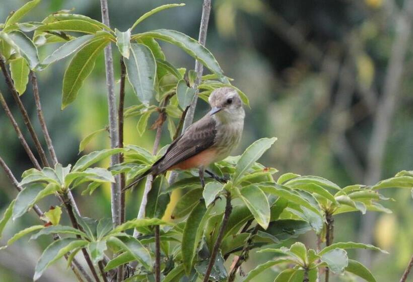 Resort El Cielo Biohospedaje
