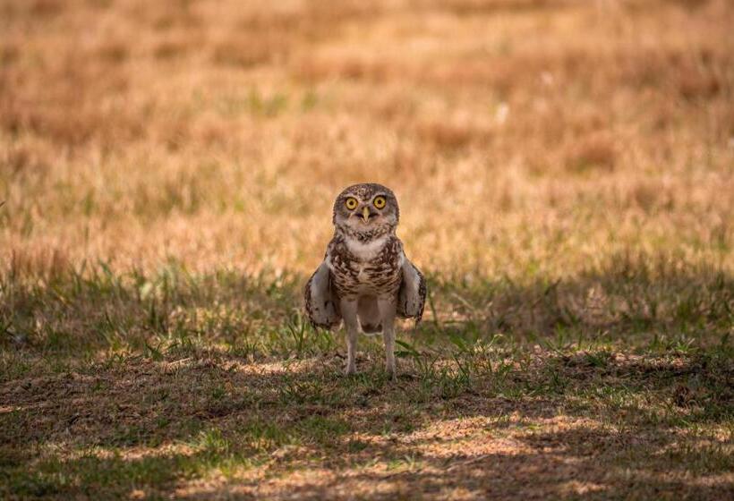 Hostel Pampas Del Sur Hotel Y Spa De Campo