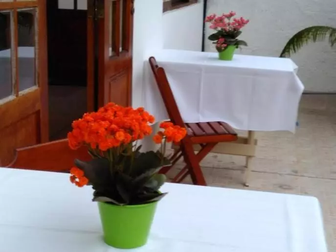 هاستل Pousada Ubatuba Itaguá