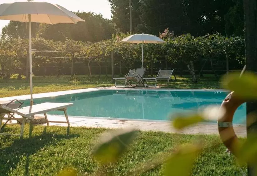 ホテル Agriturismo Tenuta La Pila