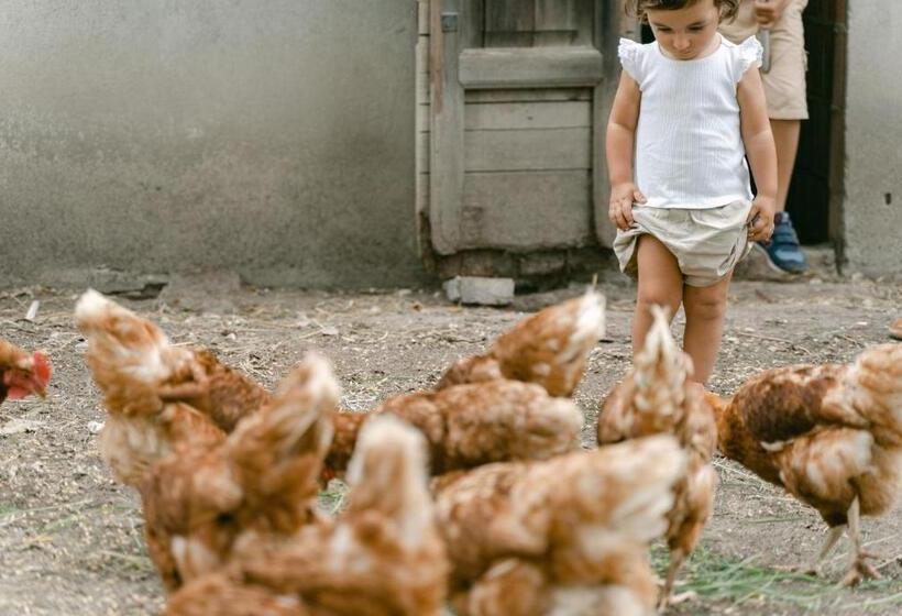 酒店 Agriturismo Tenuta La Pila