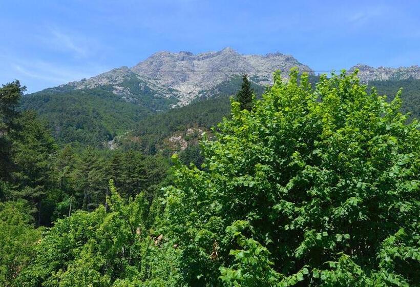 Отель Le Vizzavona