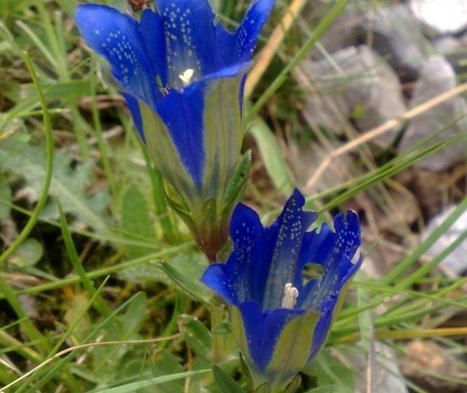 فندق Rural Rio Viejo