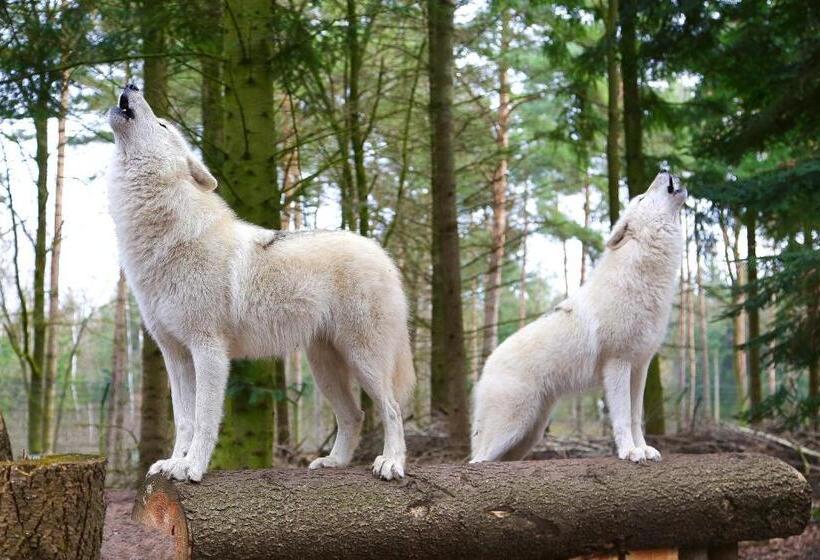 בית מלון כפרי Tree Inn   Das Baumhaus