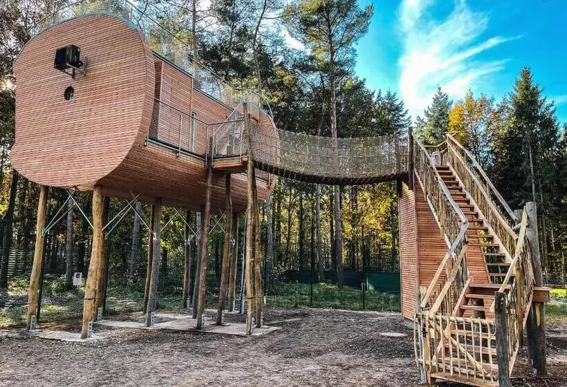 Hotelli Tree Inn   Das Baumhaus