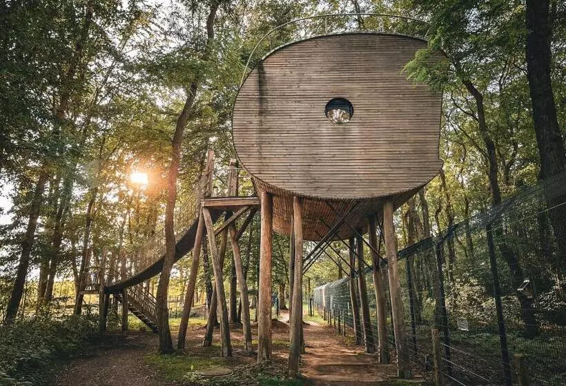 Hotelli Tree Inn   Das Baumhaus