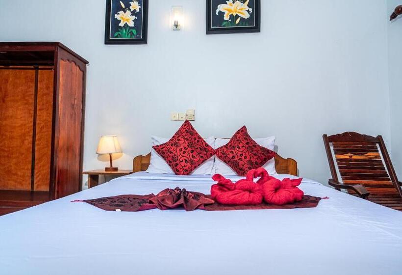 بنسيون Golden Papaya Guesthouse