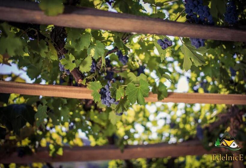 پانسیون Guesthouse Edelnice