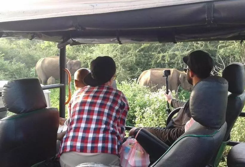 ペンション King S Elephant Cabanas & Restaurant