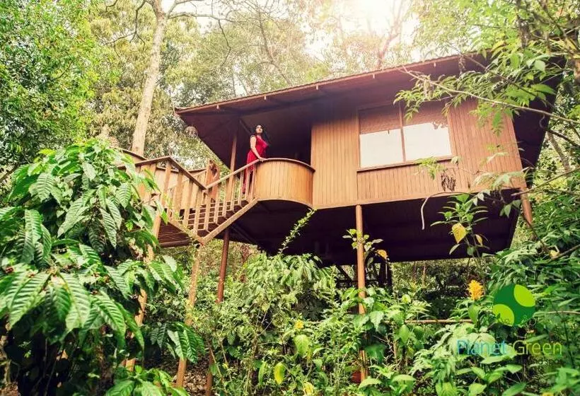 Planet Green Plantation Resorts, Wayanad, Kerala