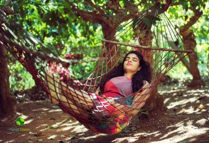 Planet Green Plantation Resorts, Wayanad, Kerala
