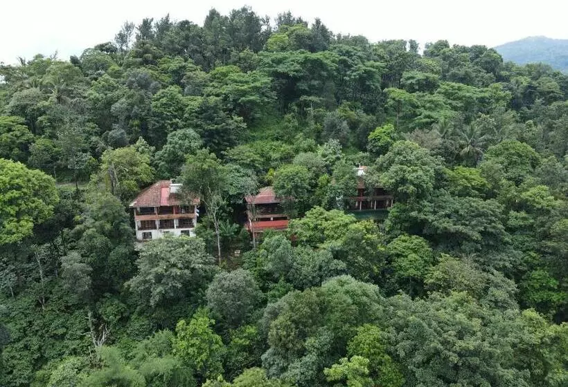 Planet Green Plantation Resorts, Wayanad, Kerala