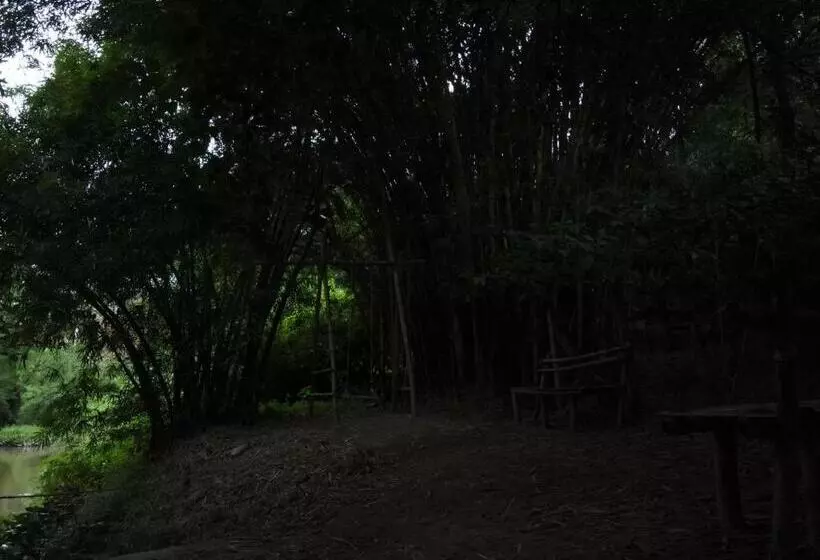 Planet Green Plantation Resorts, Wayanad, Kerala