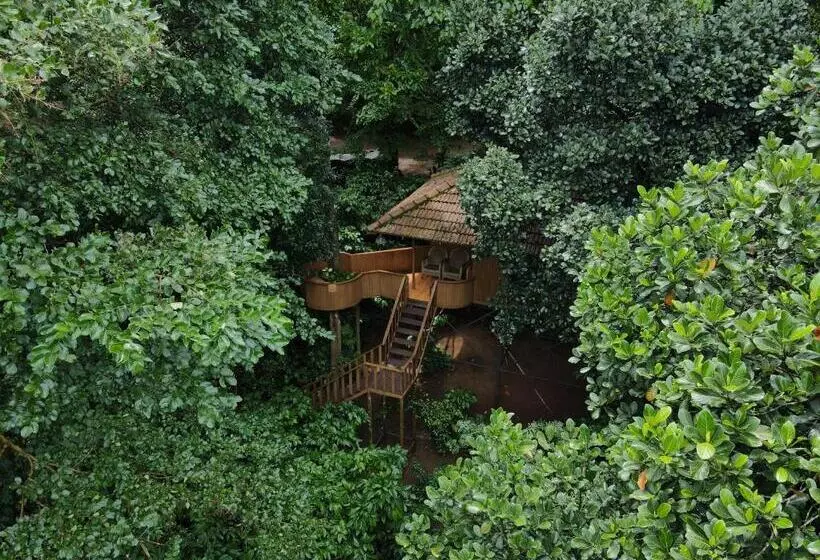 Planet Green Plantation Resorts, Wayanad, Kerala