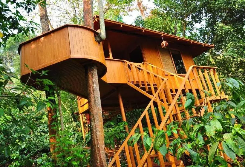 Planet Green Plantation Resorts, Wayanad, Kerala