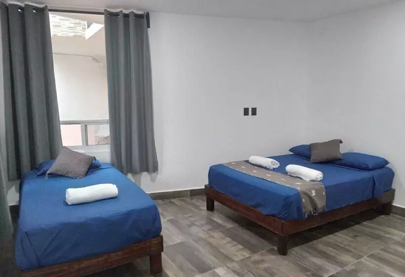 تختخواب و صبحانه Villas Carlota Cancún