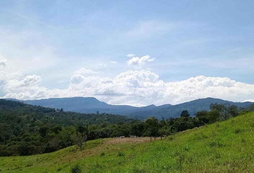 Hotel Casona Museo Alcantús