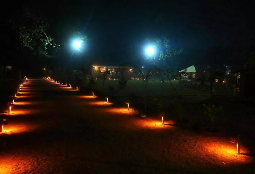 Bundeli Camps And Resorts, Panna