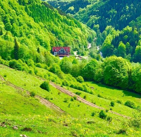 膳宿费 Cabana Izvoarele Doftanei