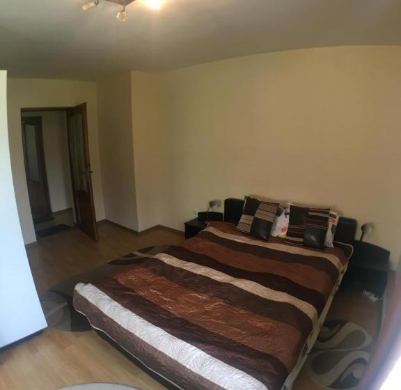 Pensiunea Casa Frasin