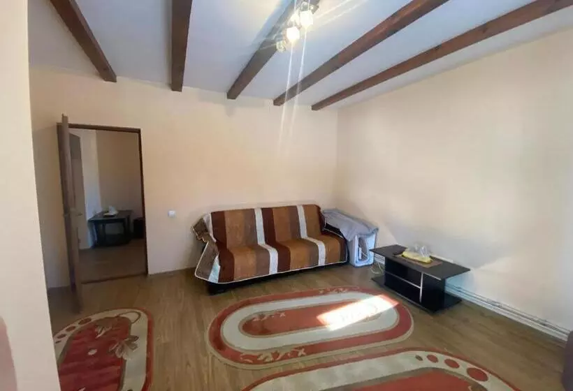 Pensiunea Casa Frasin