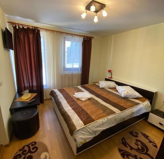 Pensiunea Casa Frasin