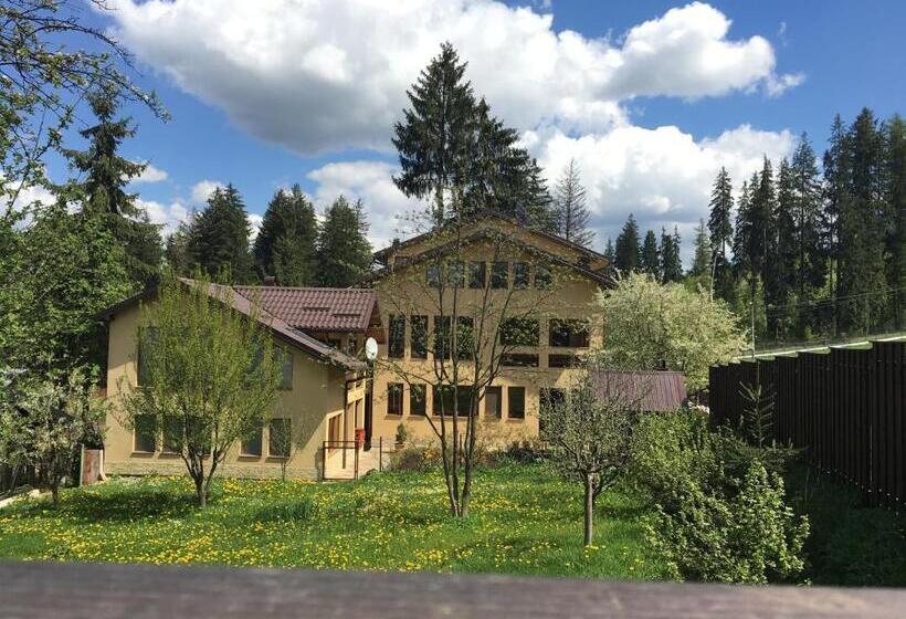 Pensiunea Casa Frasin