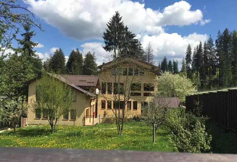 Pensiunea Casa Frasin