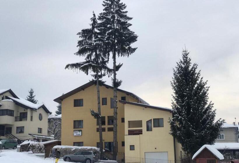 Pensiunea Casa Frasin