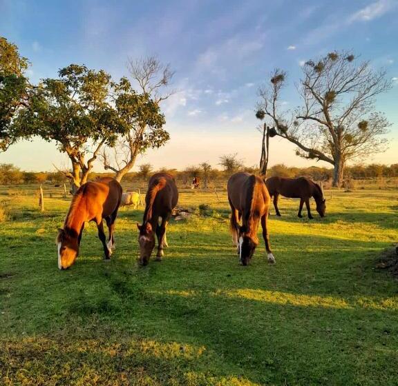 酒店 Estancia San Baltazar