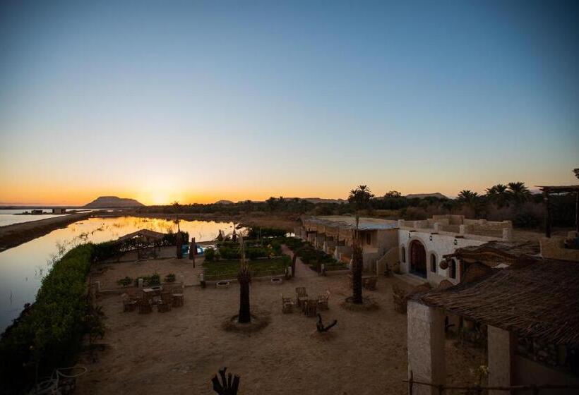 هتل Eswan Island Ecolodge