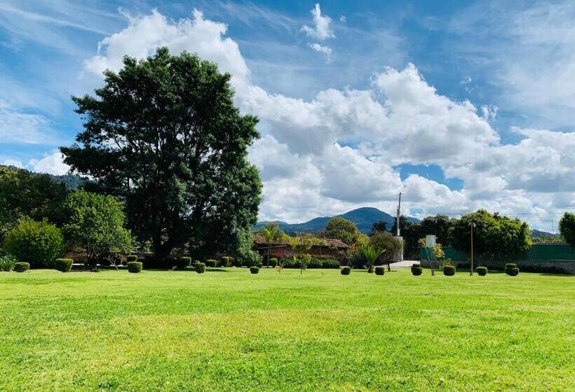 ホテル Jardín El Tlapeue