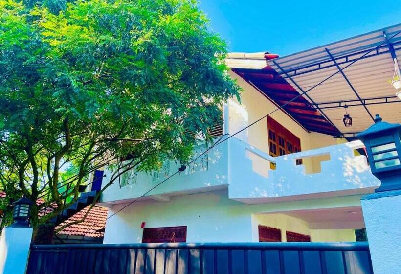 膳宿费 Black Panther Guest