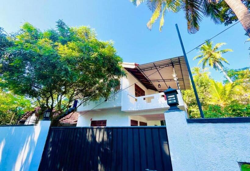 膳宿费 Black Panther Guest