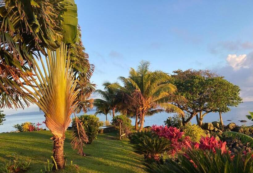 Pension (Hôtel basse catégorie) Matei Pointe Buré