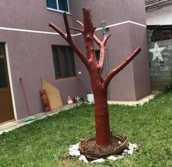 پانسیون Selami Guesthouse