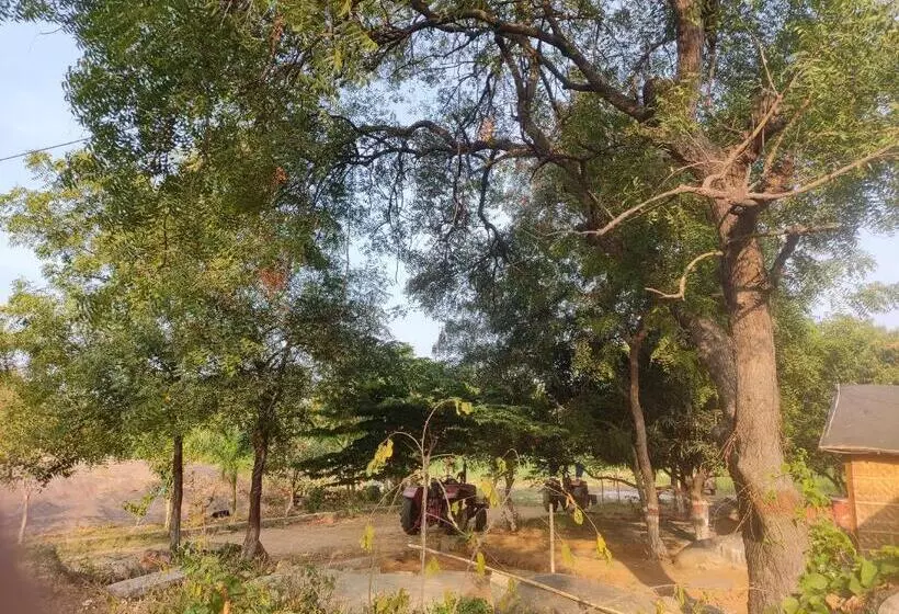 Hotelli Aadhya Home Stay Hampi
