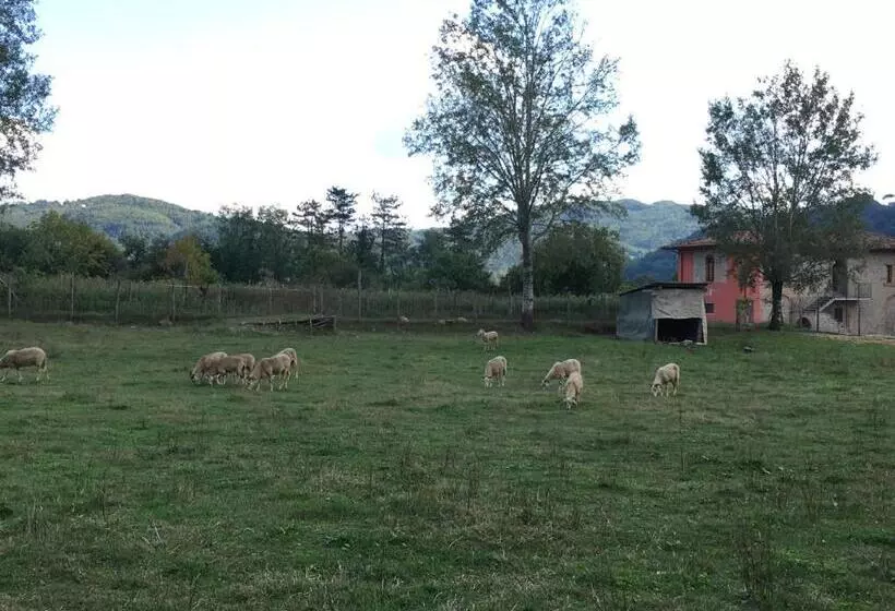 ホテル Venturo Agriturismo Restaurant & Horses
