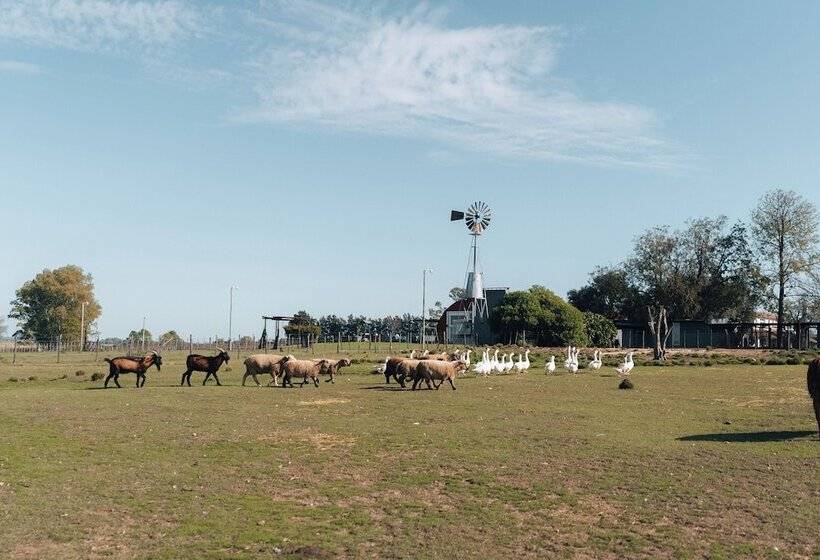 فندق La Santina Posada & Experiencias De Campo