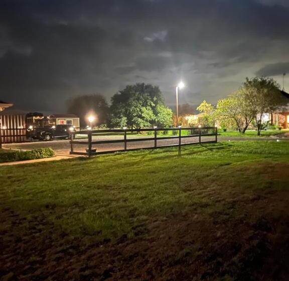 پانسیون The Cabin At Camp K9 Provides One On One Doggy Daycare