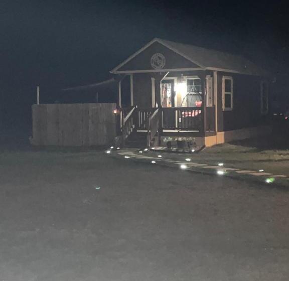 پانسیون The Cabin At Camp K9 Provides One On One Doggy Daycare